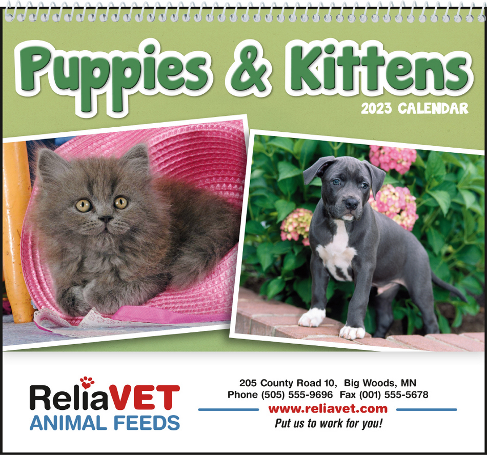 Puppies & Kittens Wall Pocket Promo Calendar, Size 8x13