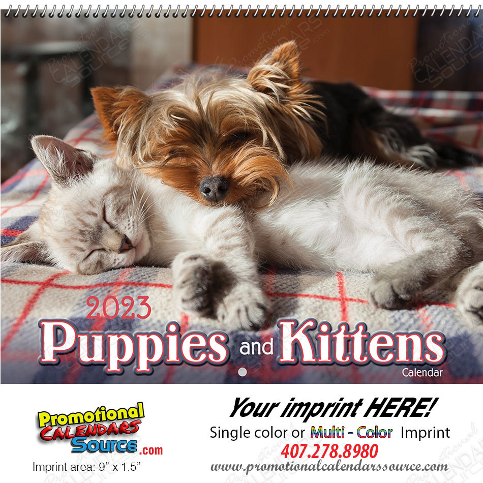 Puppies & Kittens  Wall Calendar - Spiral