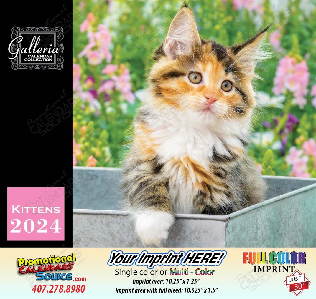 Kittens Calendar 