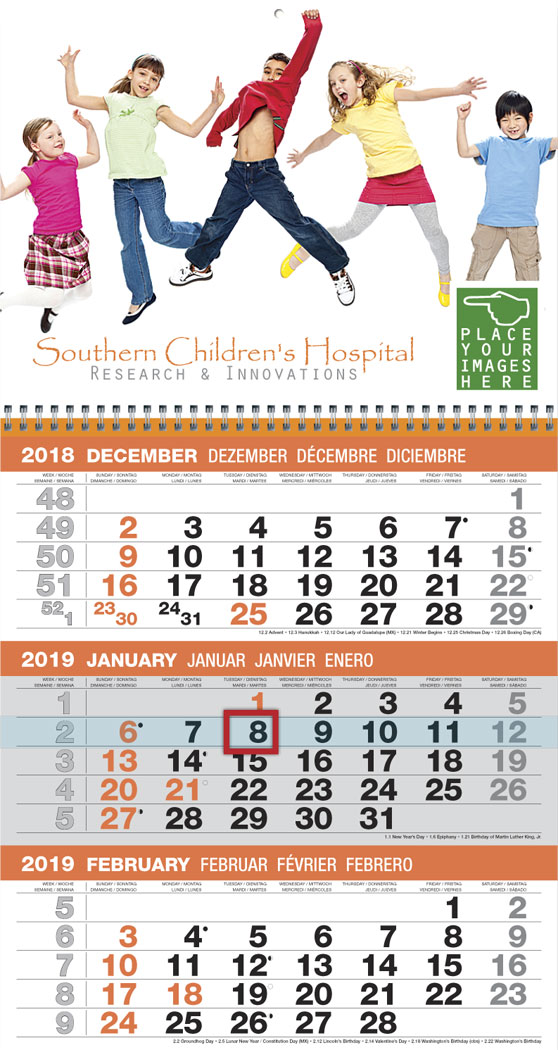 3 Month Commercial Wall Calendar Large Week Numbers, 2 Panels, Size 12x23