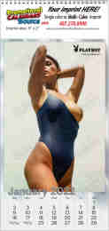 Playboy's Playmate Calendar Size 9x19