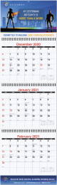 3-Months at a Glance Wall Calendar w Drop Ad 10.75x 35, Julian Dates