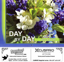 Day By Day large blocks scenic Calendar with Funeral Preplanning insert option