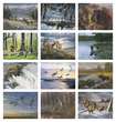 Wildlife Art Promotional Calendar 2023