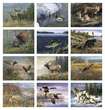 Wildlife Art by the Hautman Brothers Promotional Calendar 2023