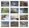 Wildlife Art Promotional Calendar 2023