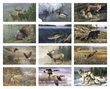 Wildlife Art by the Hautman Brothers Promotional Calendar 2023