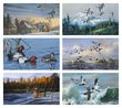 North American Waterfowl Promotional Calendar 2023
