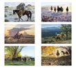 American West by Tim Cox Large Wall Calendar No. 3204 2023 bi-monthly images monthly images