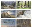 Wildlife Art Promotional Calendar 2023