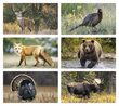 Wildlife theme 2 month in view Executivel Calendar no. 3213 monthly images 2023