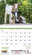 2023 Promotional Calendar baby farm animals open view