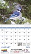 Birds of North America Promo Calendar, Item # 7036 open view image