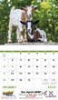 Promotional Calendar of baby farm animals open view