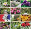 Garden Splendor Wall Calendar 2023 - Stapled