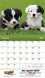 2023 Promotional calendar Puppies & Kittens, Stapled, Item BC-210 open view