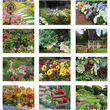 2023 Promotional calendar Gardens, Item BC-220 monthly images
