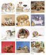 2023 Cute Puppies Promotional wall calendar Item JC-203 monthly images