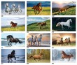 2023 Horses Animal Calendar  Stapled JC-339A monthly view images