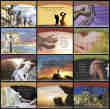 KC-CL Catholic Life Calendar Promotional calendar monthly images