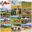 Country Spirit Calendar Stapled 2023