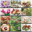 Flowers and Gardens Calendar Stapled 2023