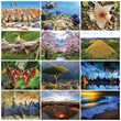 Planet  Earth Environmental Calendar 2023
