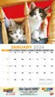 Kittens Calendar 2023