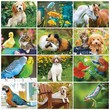 Pets Calendar Stapled 2023