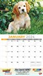 Pets Calendar Stapled 2023