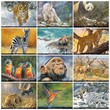 Wildlife Portraits Art Calendar 2023