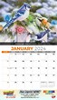 Garden Birds Calendar 2023