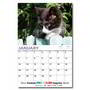 Custom 13 month photo wall calendar, Item TN-1117U shown with stock grid and custom photos details 11x17