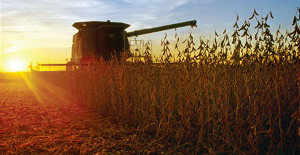 Custom Printed Agriculture Calendars  - For Business Promotions