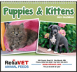 Puppies & Kittens Wall Pocket Promo Calendar, Size 8x13 thumbnail