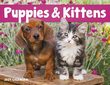 Puppies & Kittens Promotional Calendar with Window Cut-Out Ad Copy thumbnail