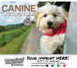 Canine Companions Wall Calendar  - Stapled thumbnail