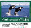 Wildlife Wall Calendar  - Stapled thumbnail