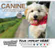 Canine Companions Wall Calendar  - Spiral thumbnail