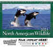 North America Wildlife Wall Calendar  - Spiral thumbnail