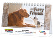 Cats & Dogs Animal Pets Desk Calendar  thumbnail