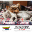 Puppies & Kittens Promotional Calendar  thumbnail