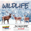 Wildlife Stapled Calendar 2024 thumbnail