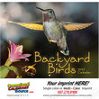 Backyard Birds Promotional Calendar  Stapled thumbnail