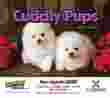 Puppies Animal Calendar 2024 - Stapled thumbnail