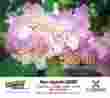 Floral Beauty Wall Appoitment Calendar 2024, Stapled, 11.5x18 thumbnail