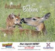 Animal Babies Wall Calendar  Stapled thumbnail