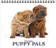 Puppy Pals Promotional Calendar, 13.5x24 thumbnail
