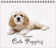Cute Puppies Wall Calendar, 12.25x22, Spiral thumbnail