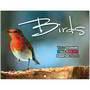 Birds Promotional Mini Custom Calendar thumbnail